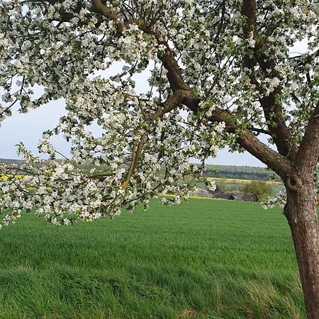 Am Schloss Lejlighed Bevern (Lower-Saxony)