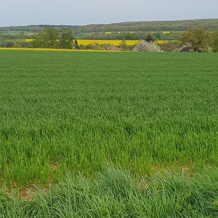 Am Schloss Lejlighed