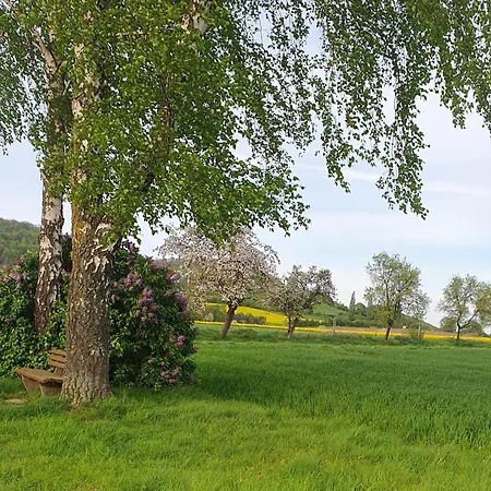 Am Schloss Lejlighed Bevern (Lower-Saxony)